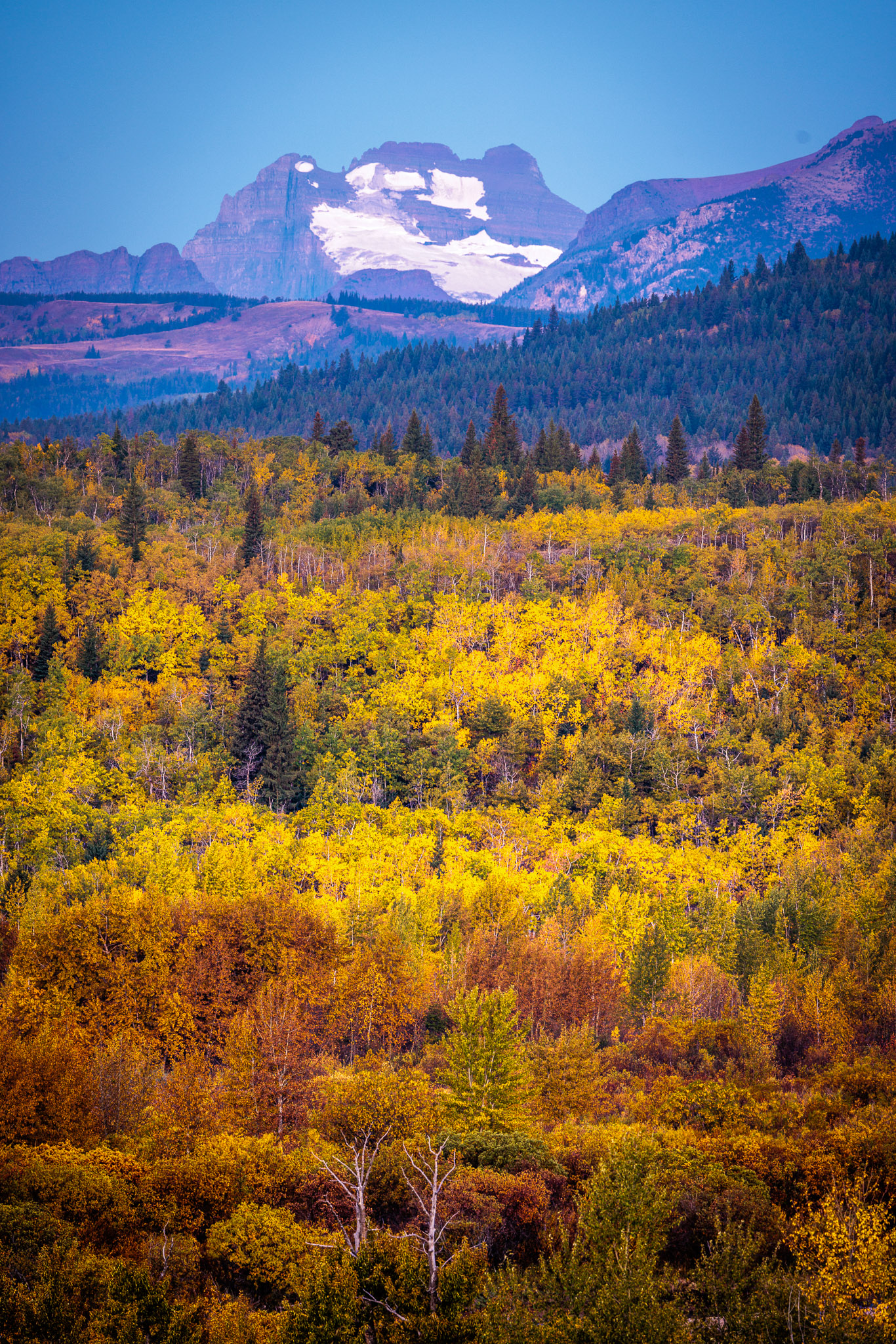 Fall color, Glacier NP