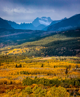 Fall color, Glacier NP