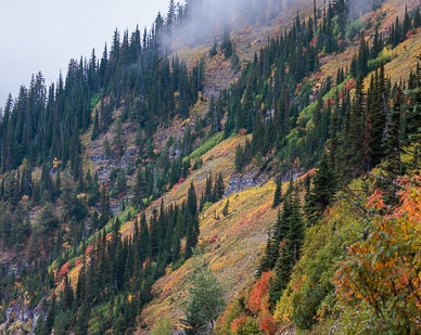 Fall color, Glacier NP