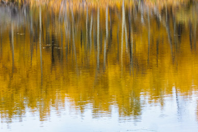 Duck Pond color, Babb MT