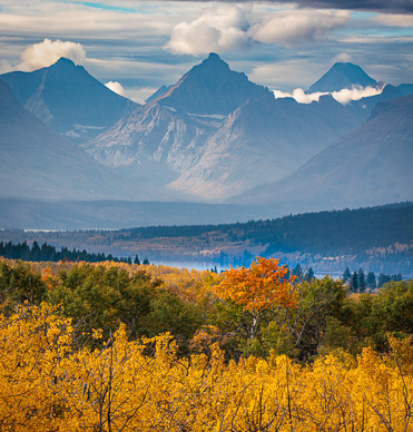 Fall color, Glacier NP