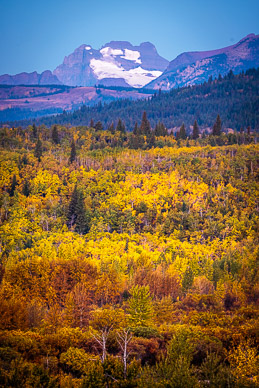 Fall color, Glacier NP