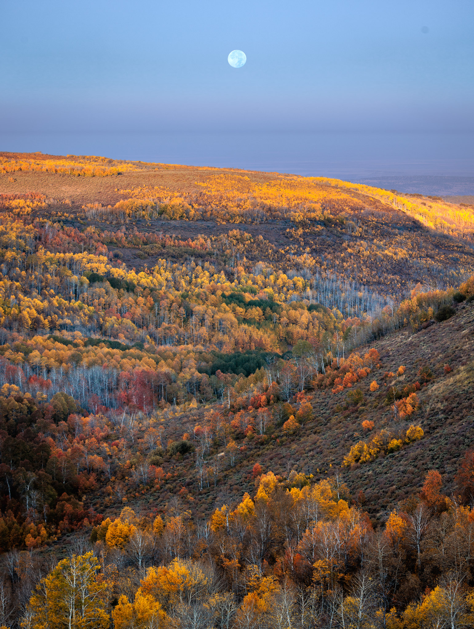 Fish Creek fall color, Steens Mountain