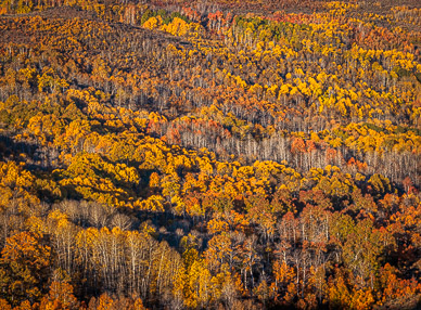 Fish Creek fall color, Steens Mountain