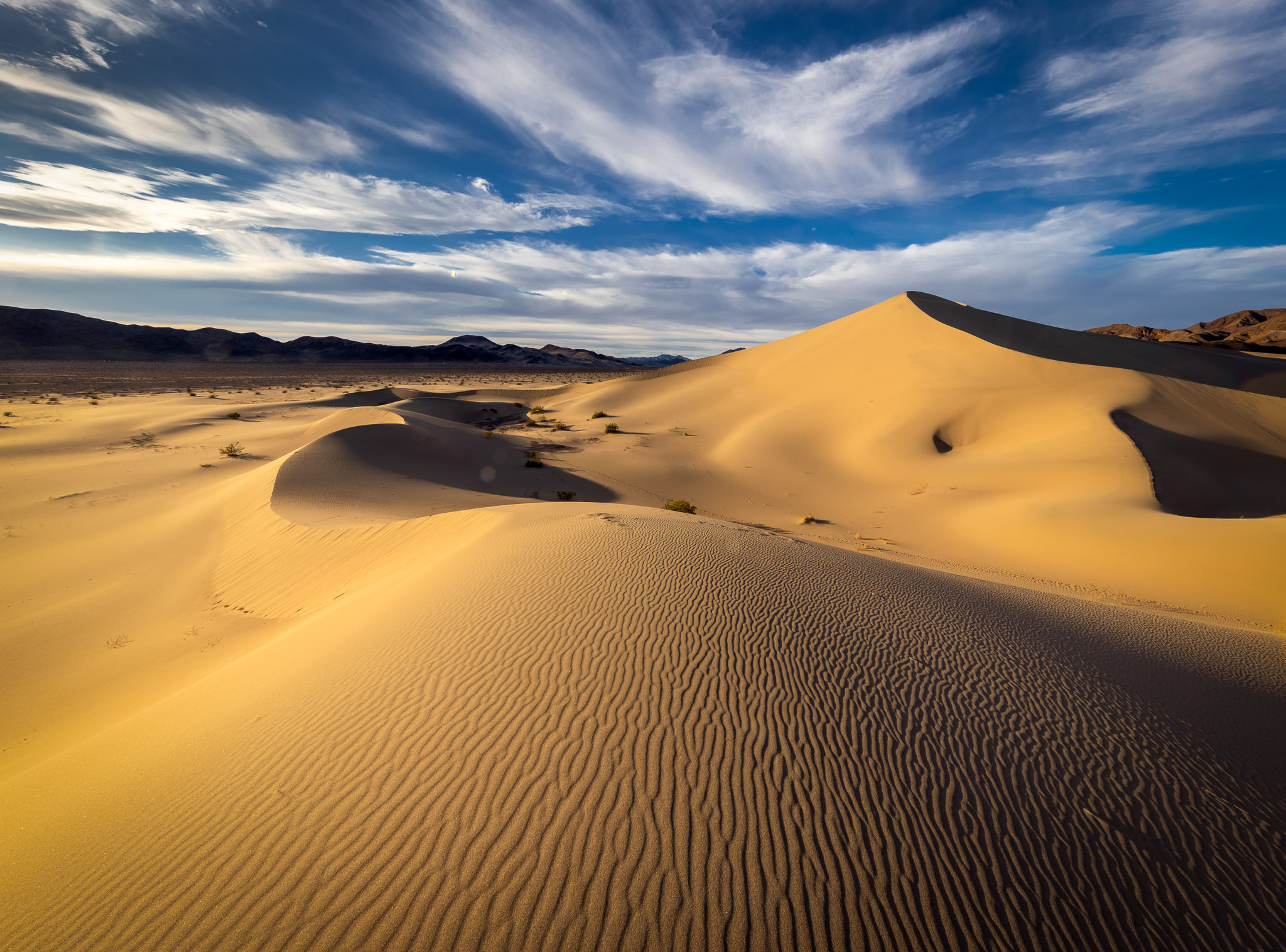 Ibex Dunes evening