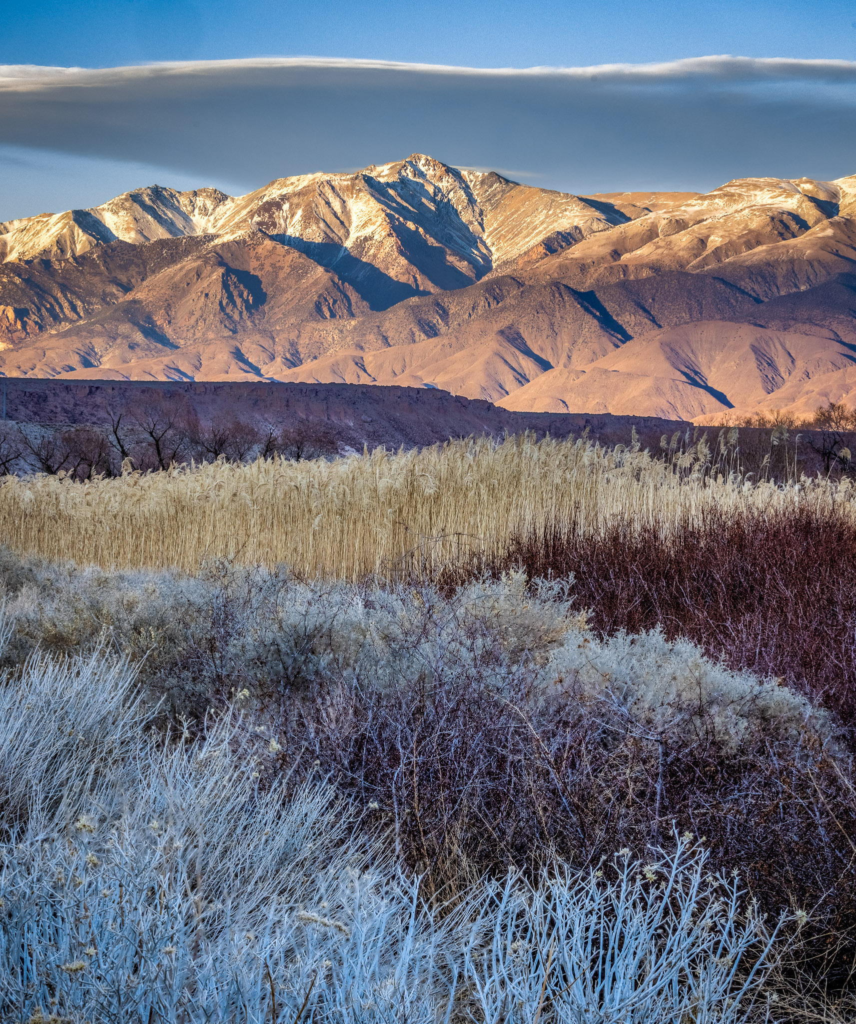 White Mountains from Round Valley