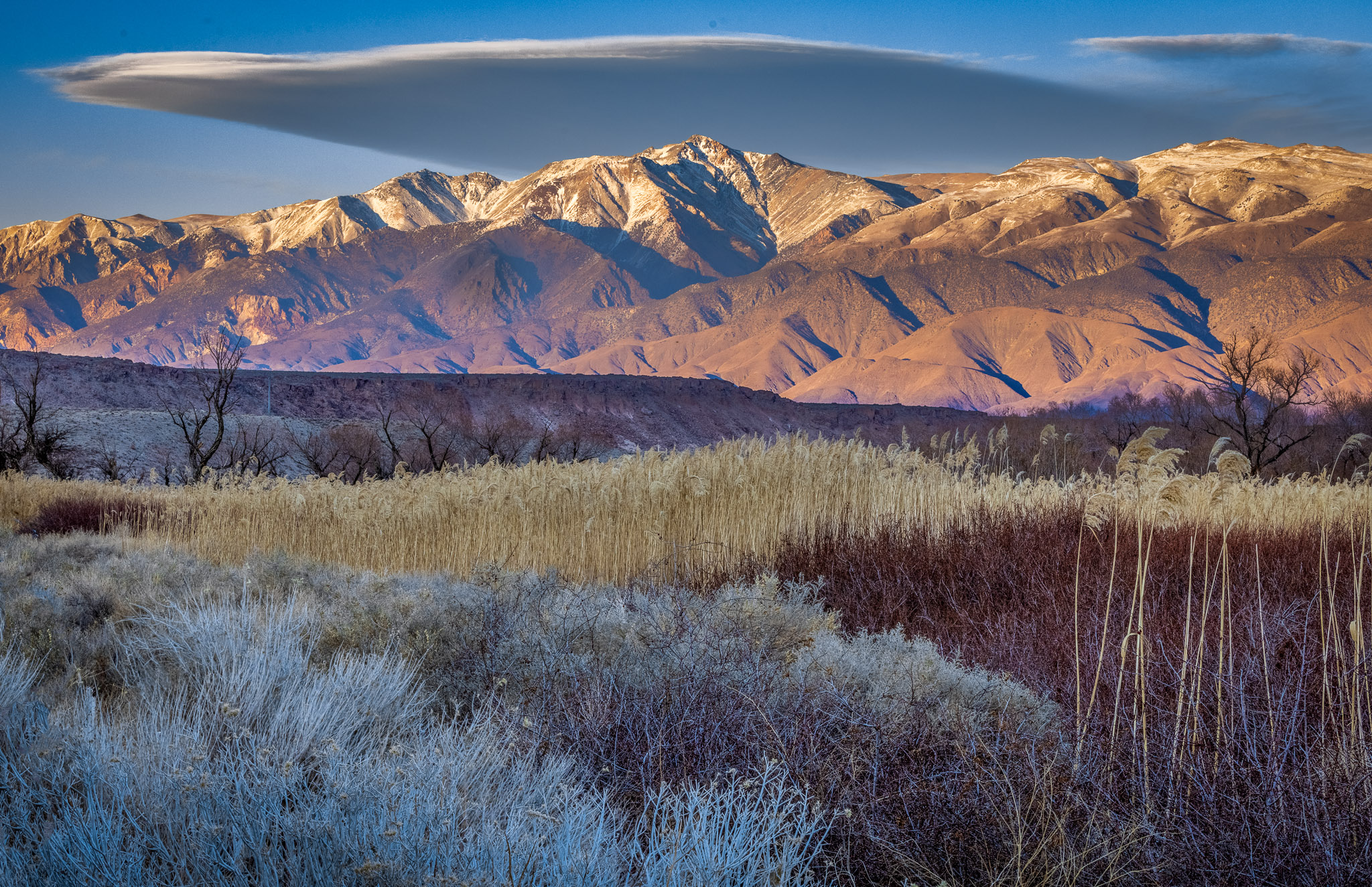 White Mountains from Round Valley