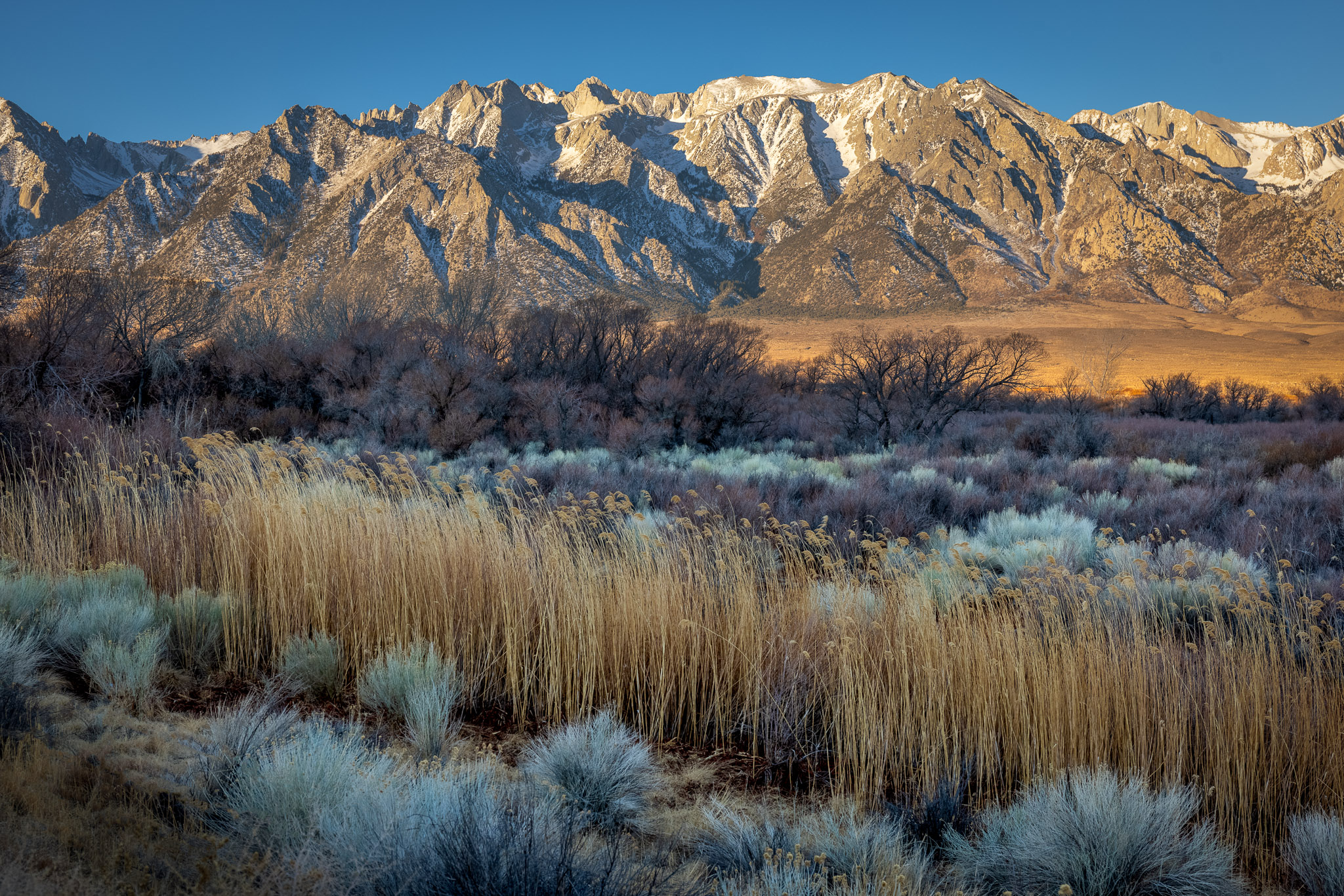 Tunnabora Peak & Mt. Russell, Sierra Crest