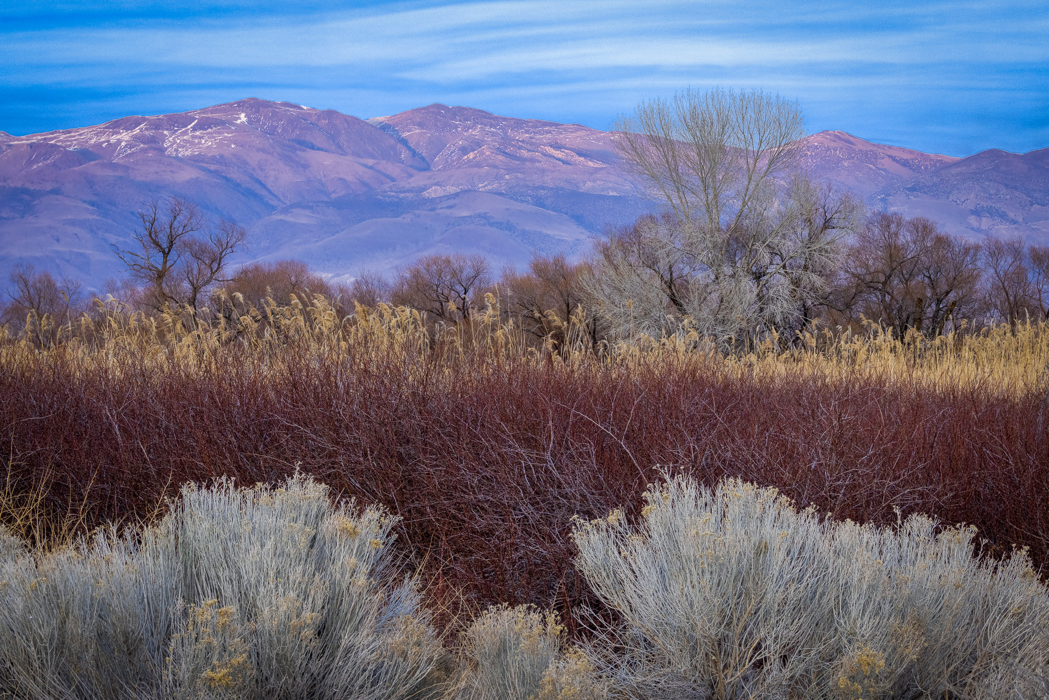 White Mountains from Round Valley