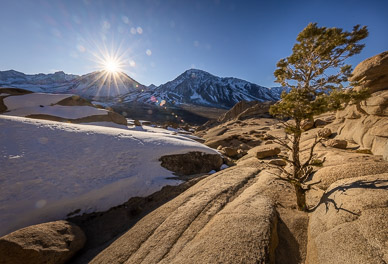 Buttermilk Hills sentinal