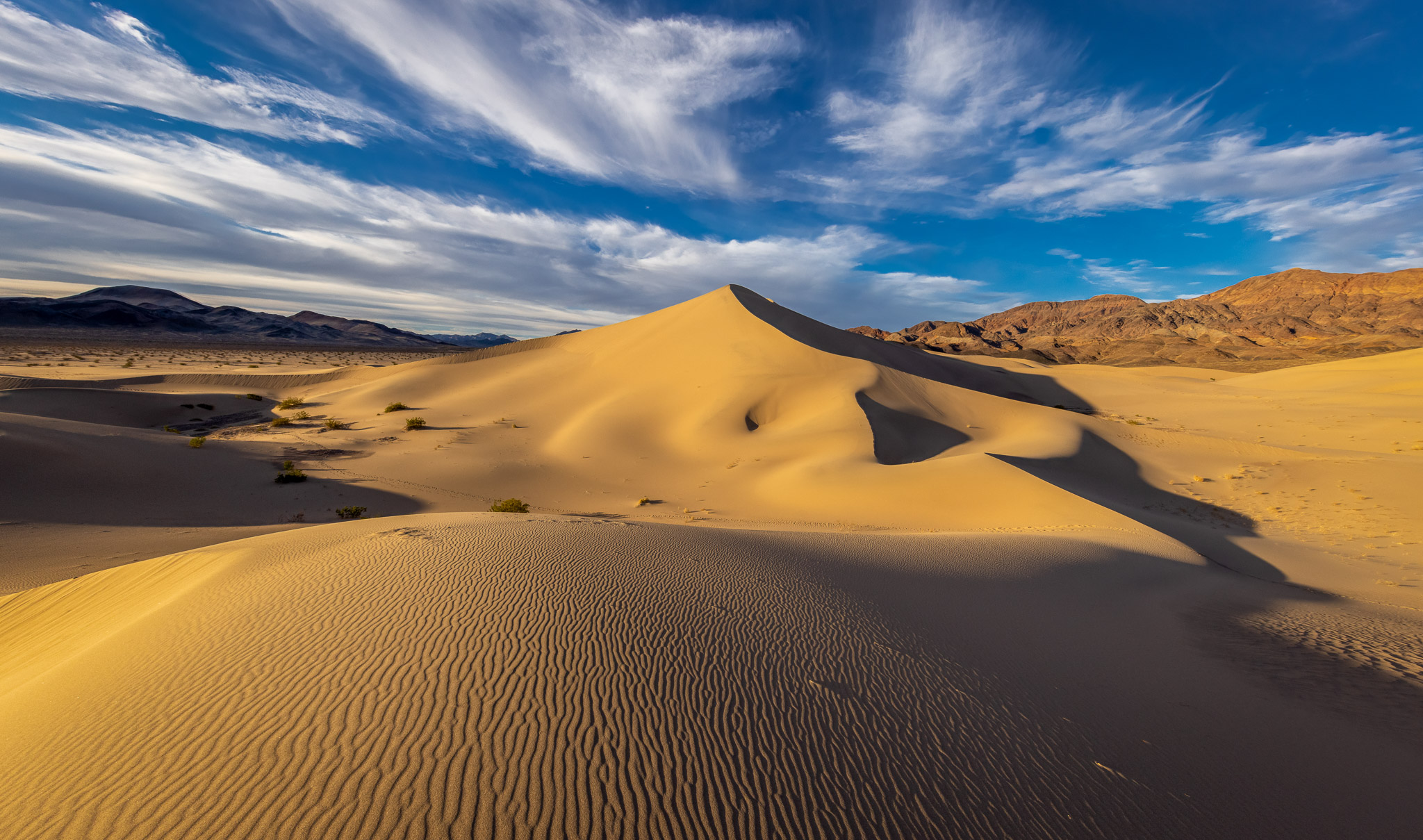 Ibex Dunes evening