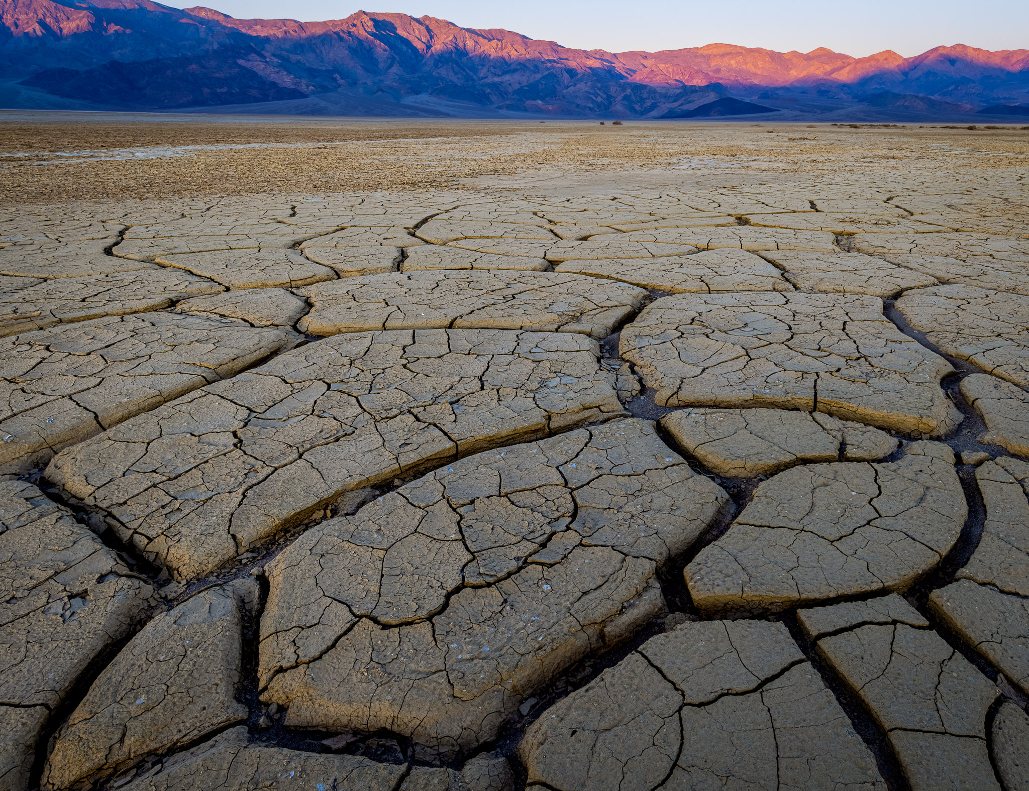 Mudflat patterns sunrise