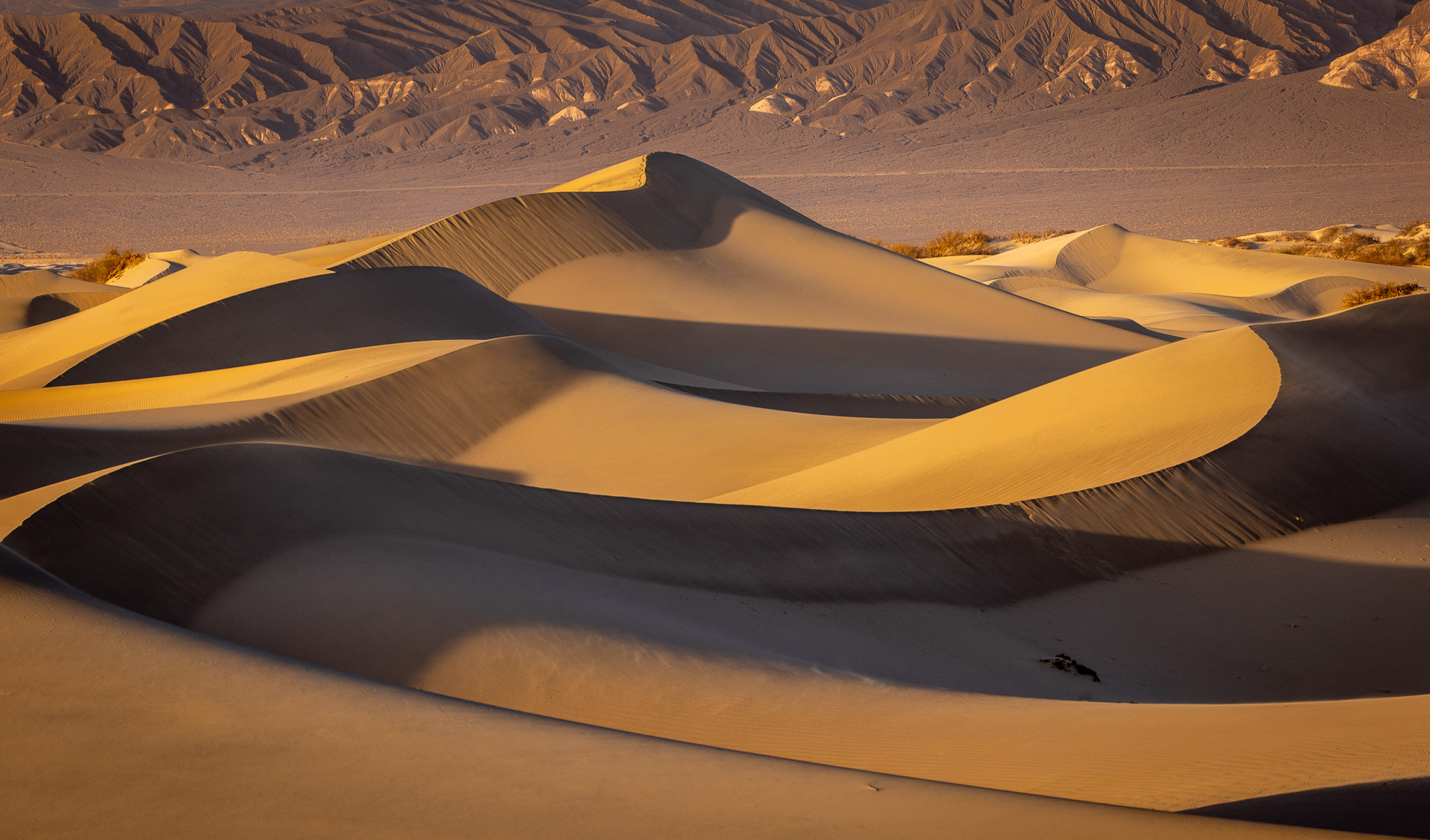 Mesquite Dunes evening
