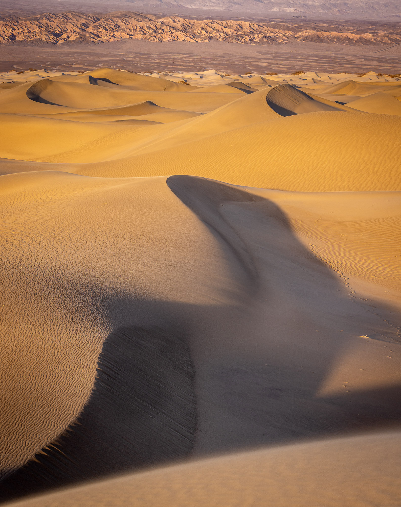 Mesquite Dunes evening