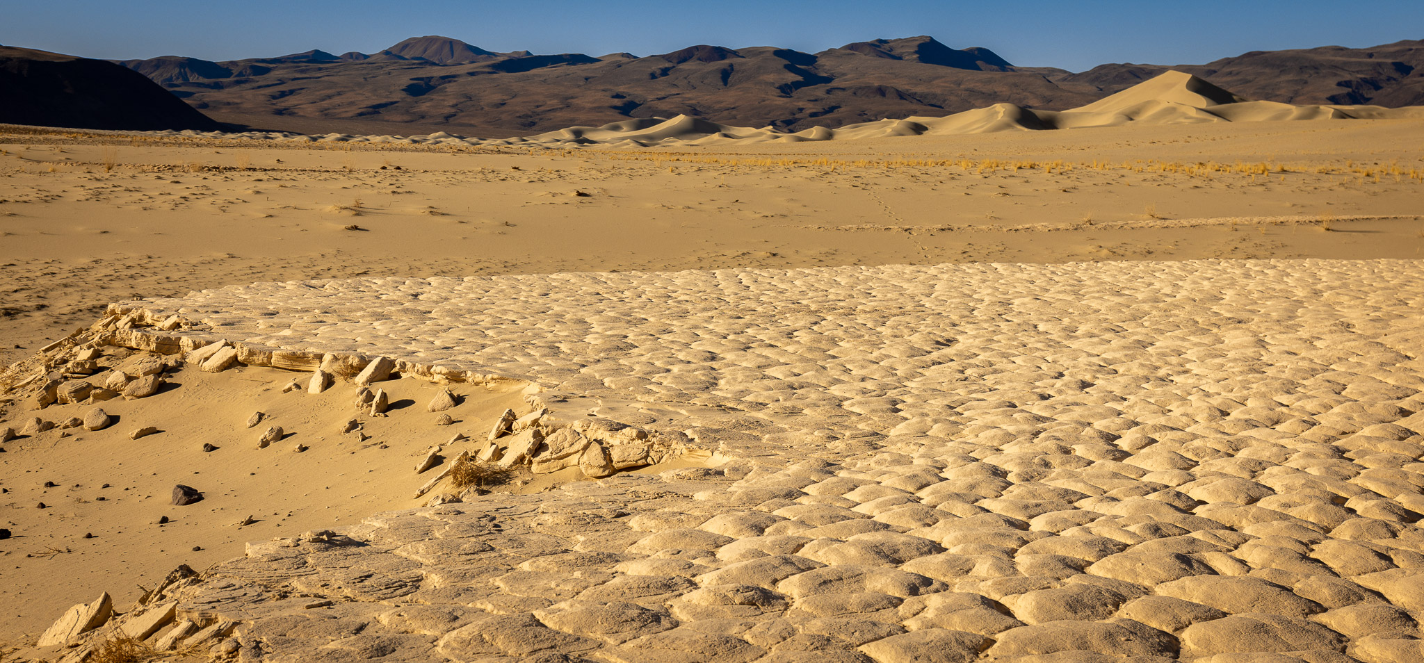 Eureka Dunes pertrified sand