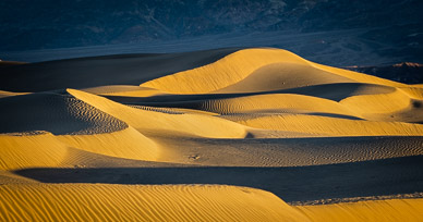 Mesquite Dunes sunrise