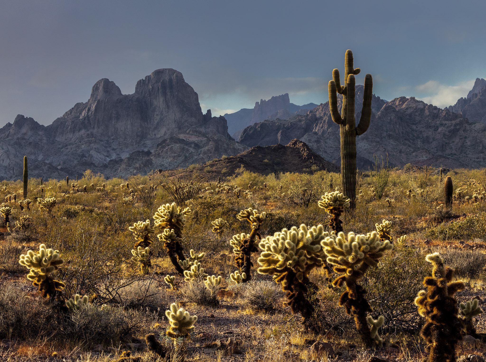 Kofa Mountains