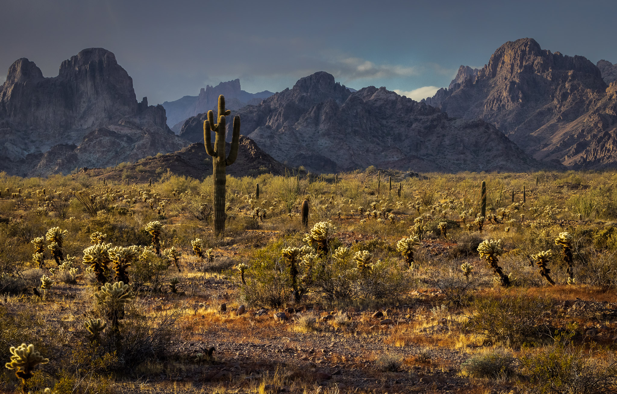 Kofa Mountains