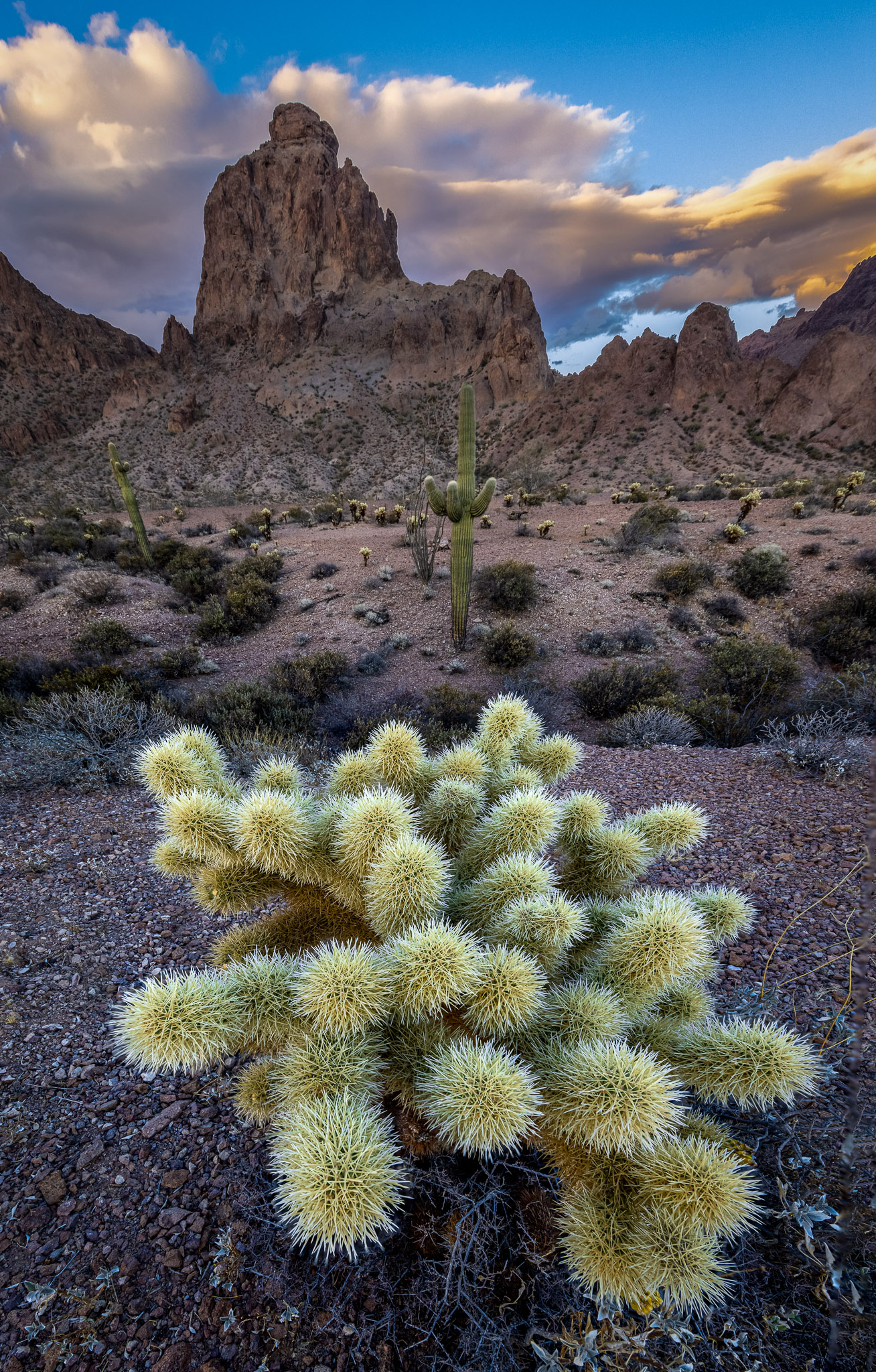 Kofa Mountains