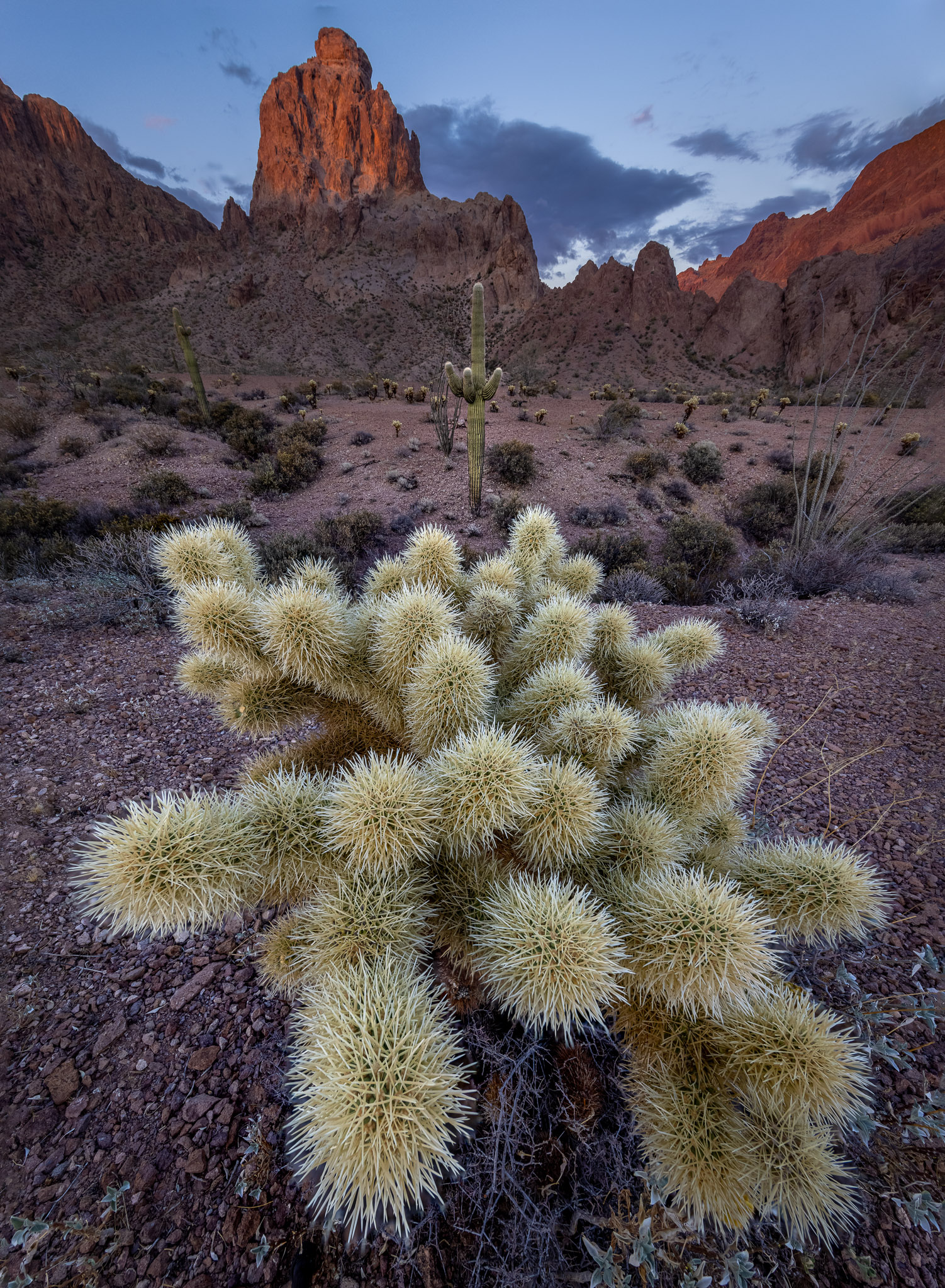 Kofa Mountains