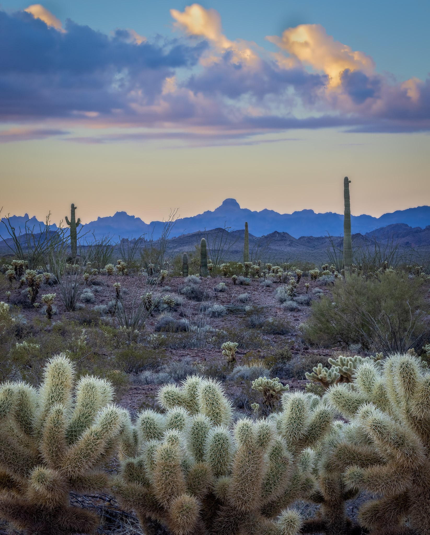 Kofa Mountains