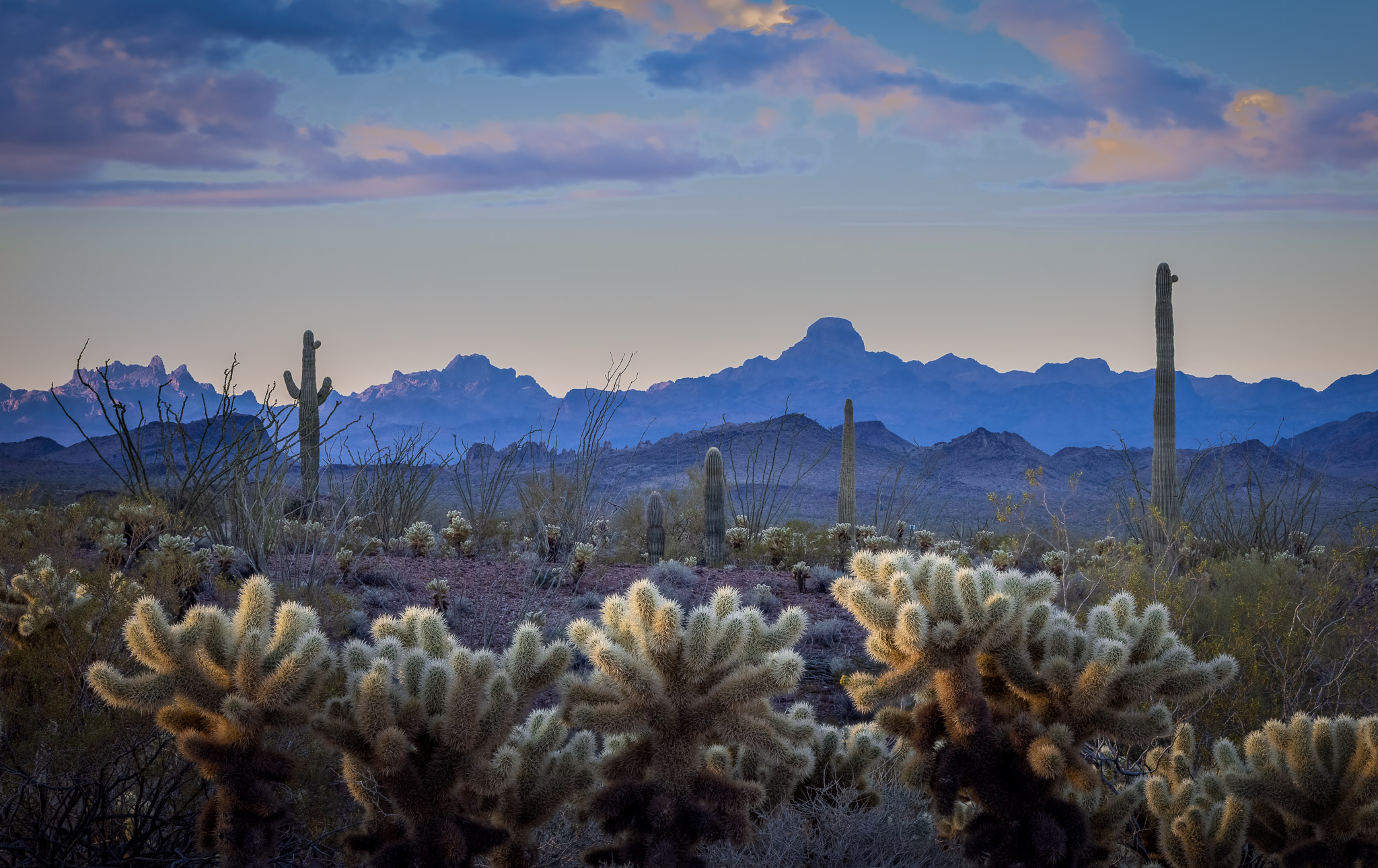 Kofa Mountains