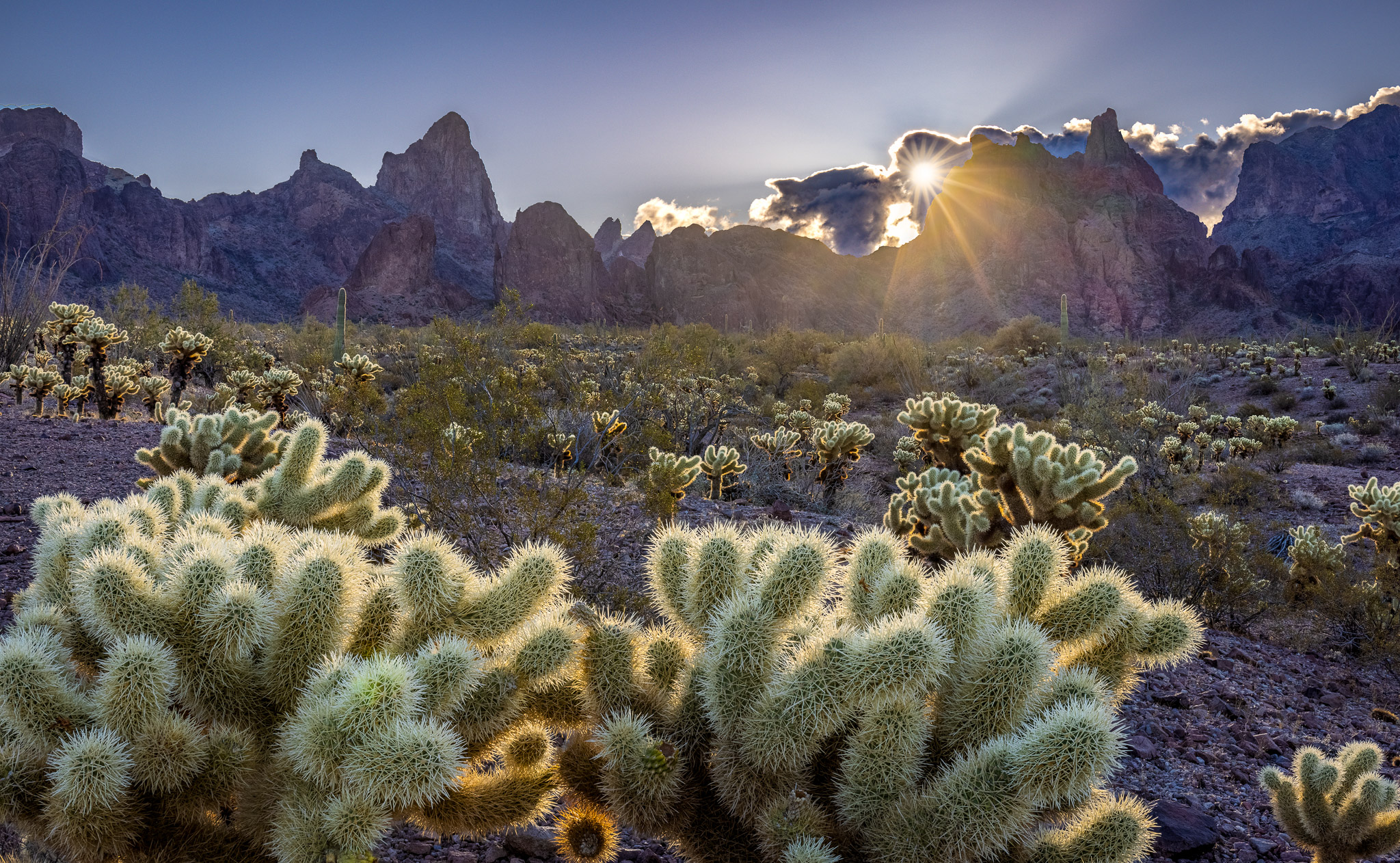 Kofa Mountains