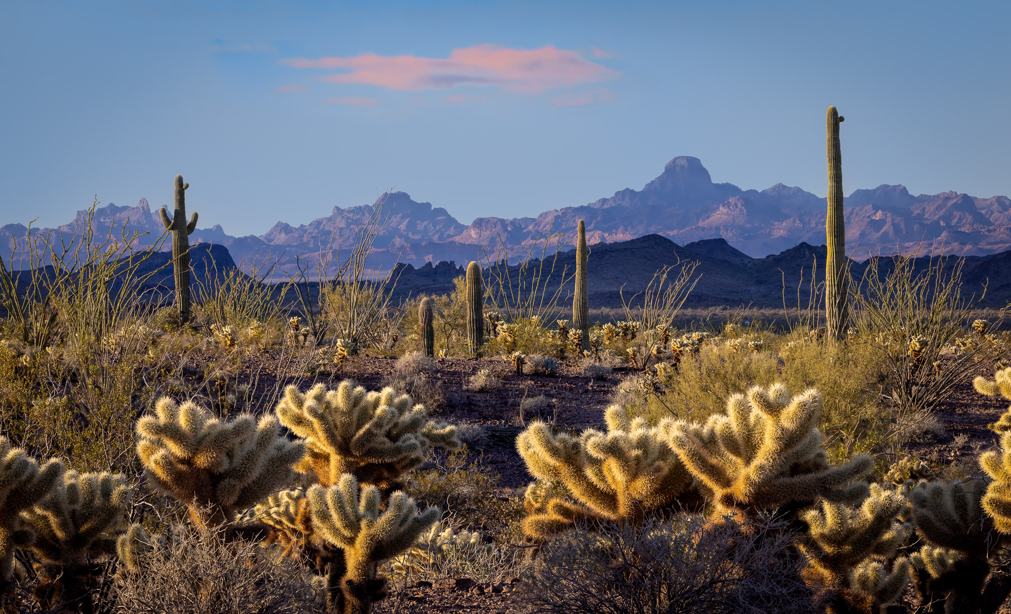 Kofa Mountains