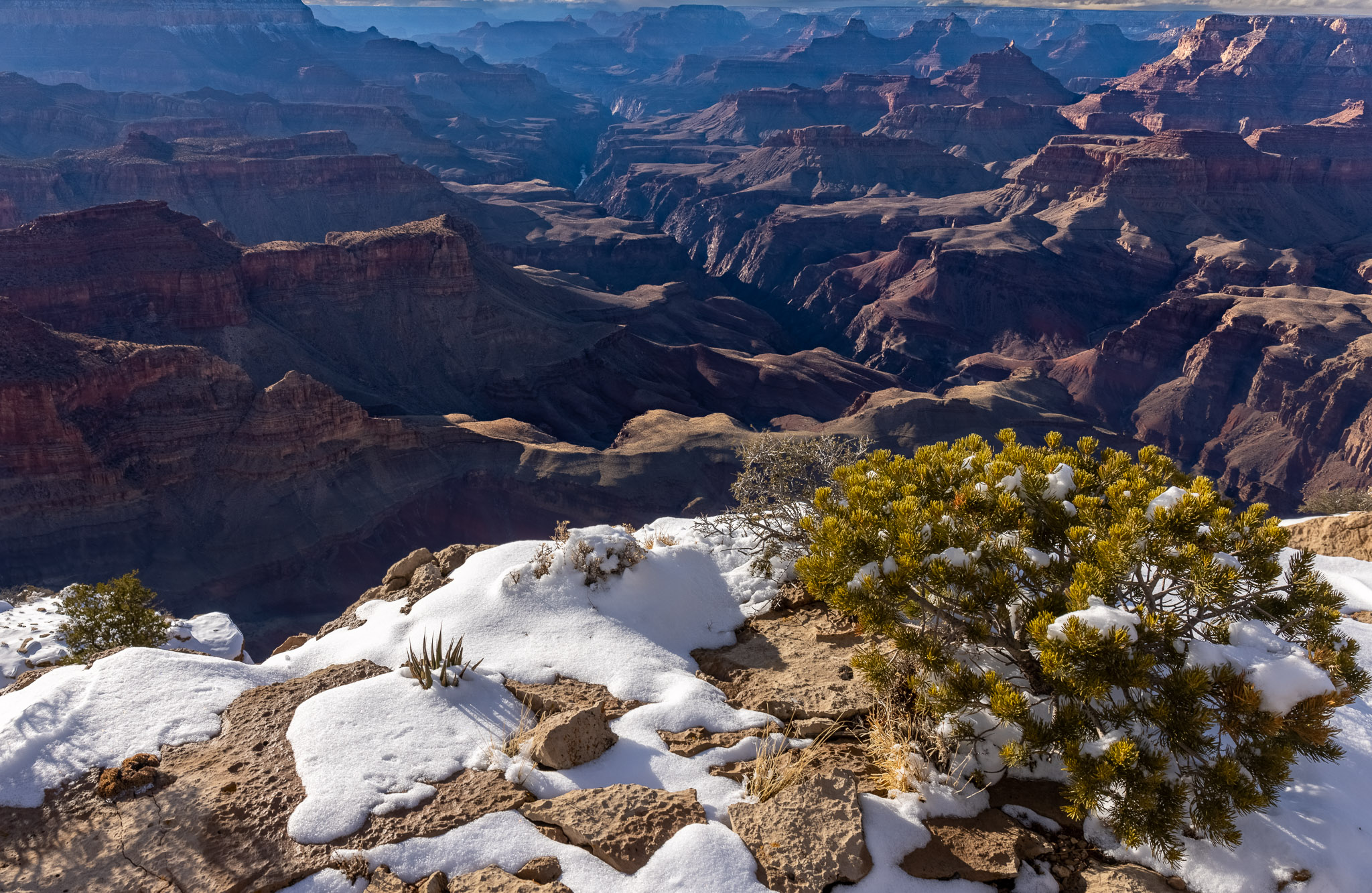 Grand Canyon from Zuni Point