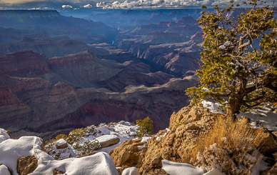 Grand Canyon from Zuni Point