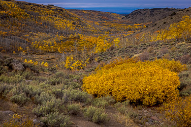 Fish Creek Color, Steens Mountain
