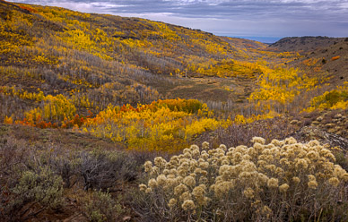 Fish Creek Color, Steens Mountain