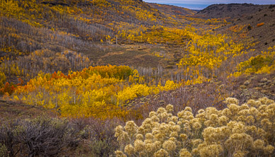 Fish Creek Color, Steens Mountain