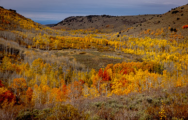 Fish Creek Color, Steens Mountain