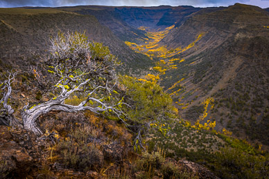 Big Indian Gorge, Steens Mountain