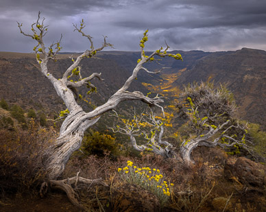 Big Indian Gorge, Steens Mountain