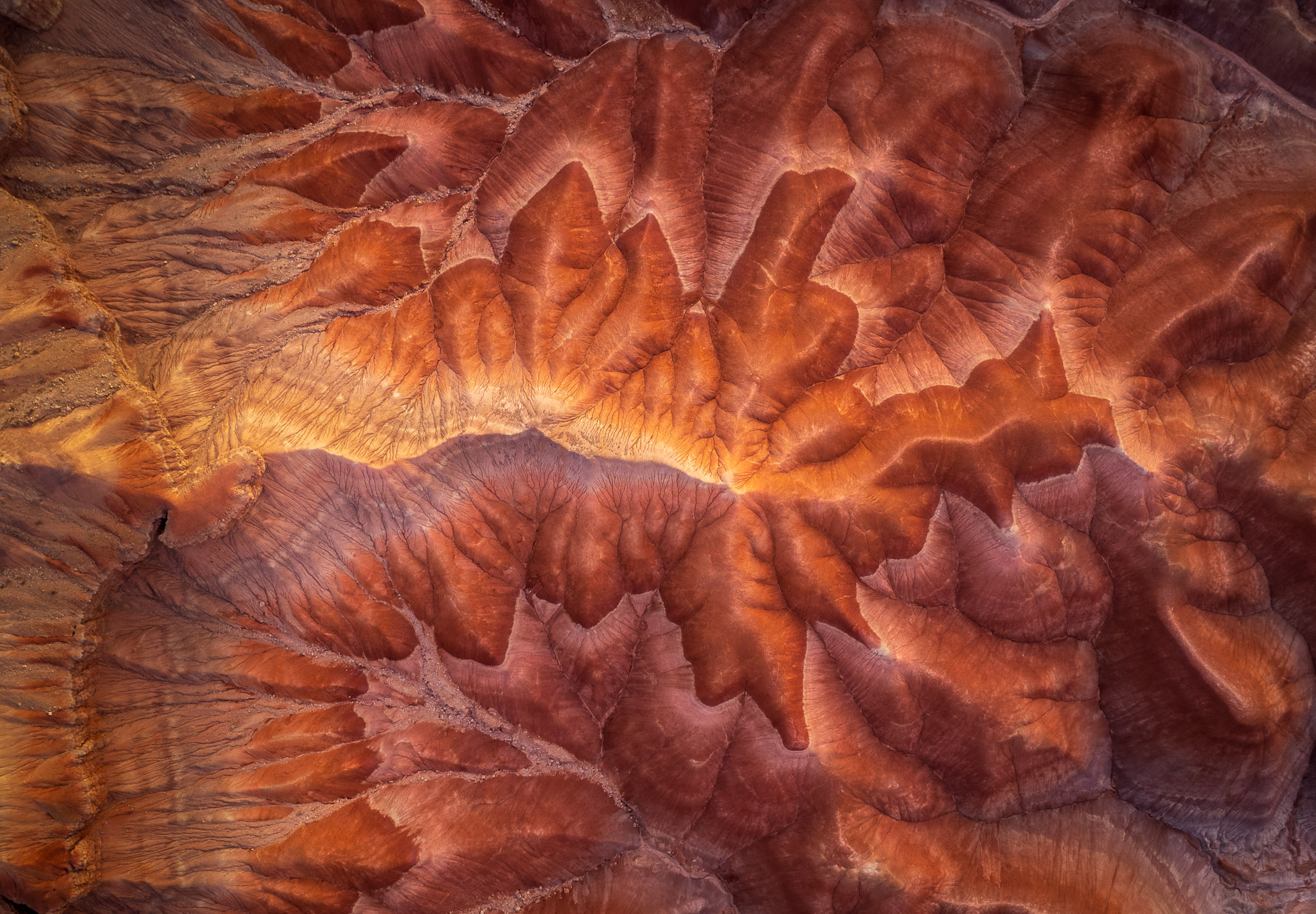 Arizona Painted Desert Abstract