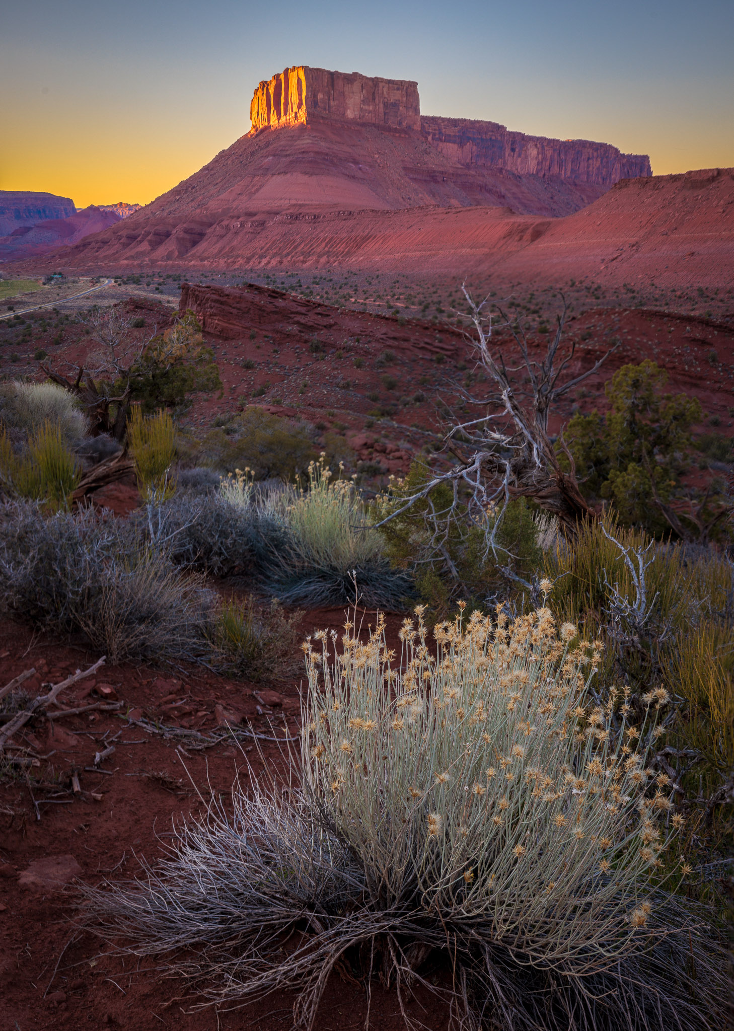 Parriott Mesa