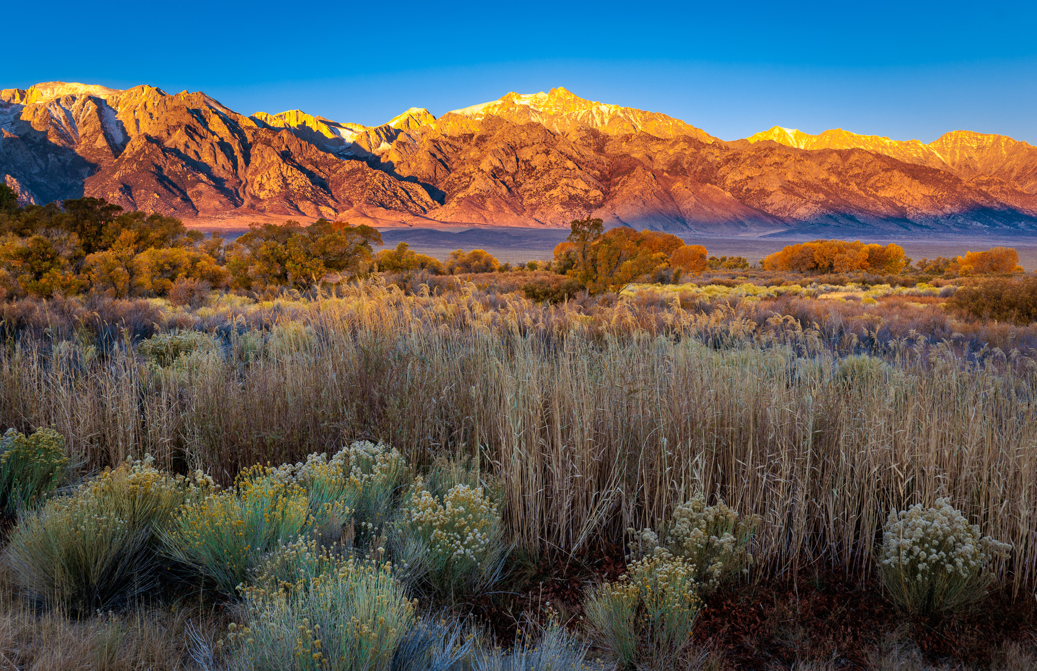 Autumn color & Mt. Williamson