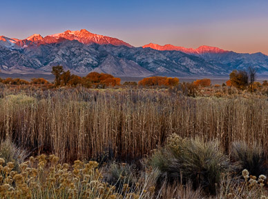 Autumn color & Sierra crest