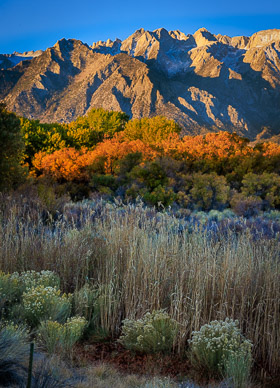 Autumn color, Tunnabora Peak & Mt. Russell