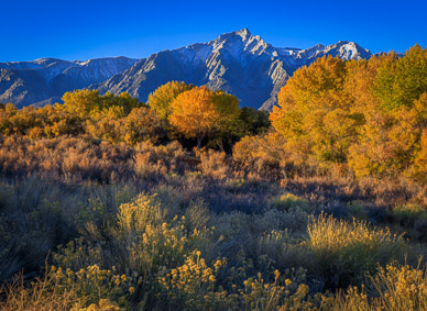 Autumn color & Lone Pine Peak