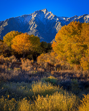 Autumn color & Lone Pine Peak