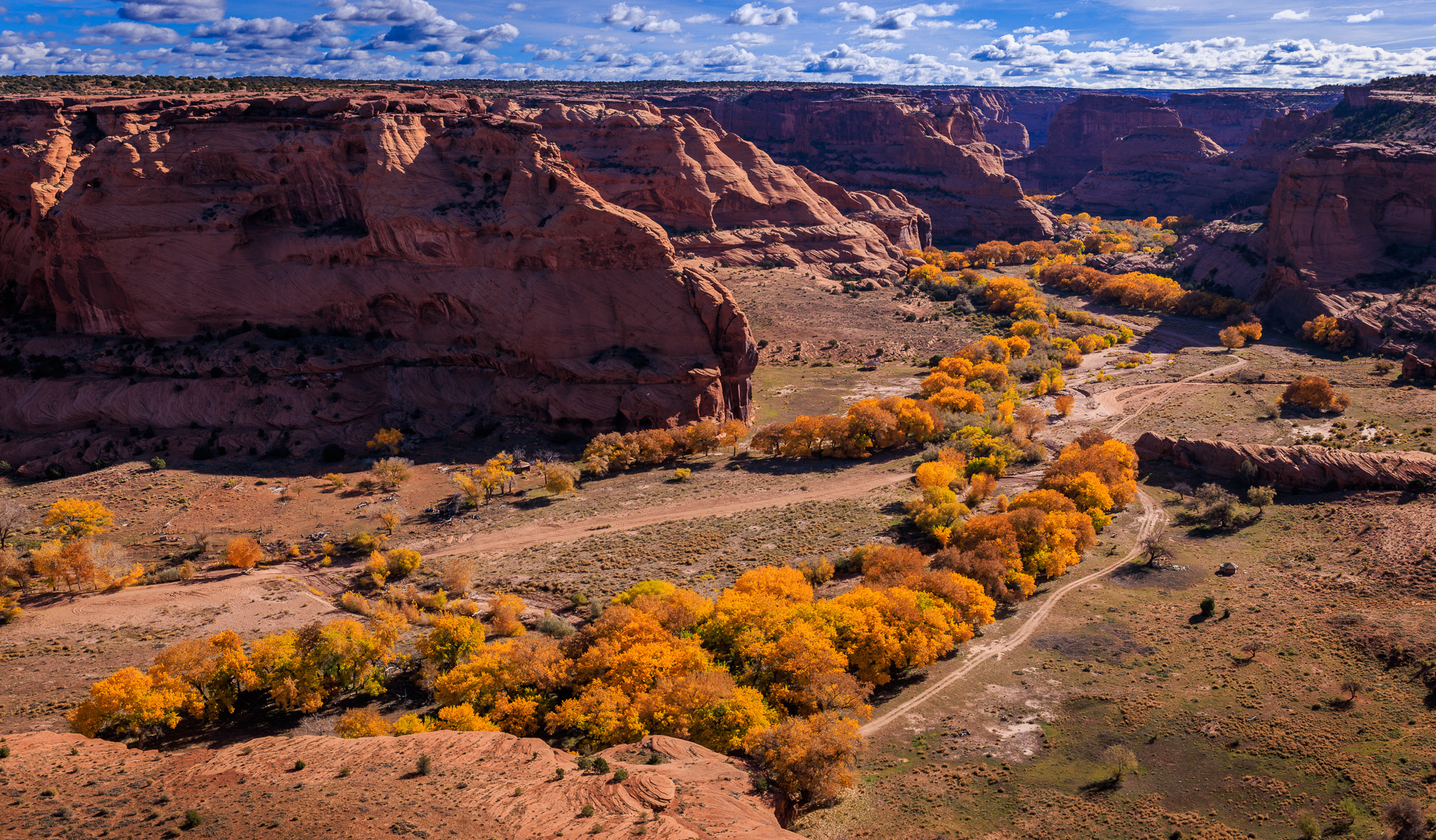 Cottonwood color from Junction Overlook