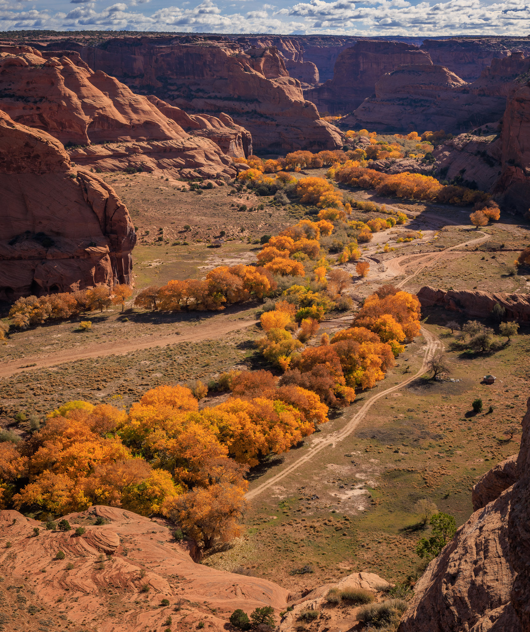 Cottonwood color from Junction Overlook