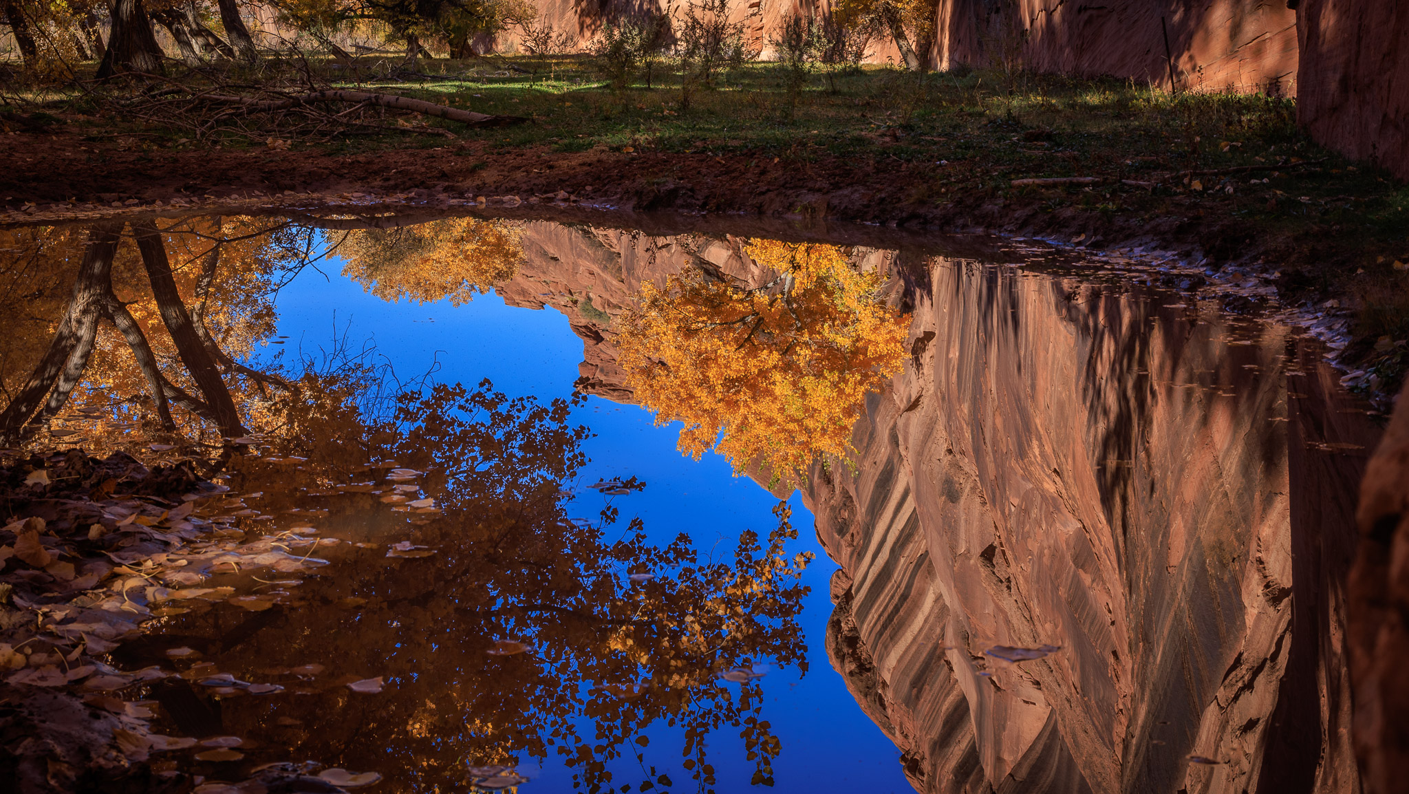 Canyon floor color