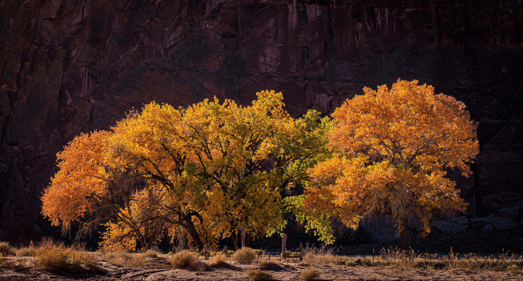 Canyon floor color