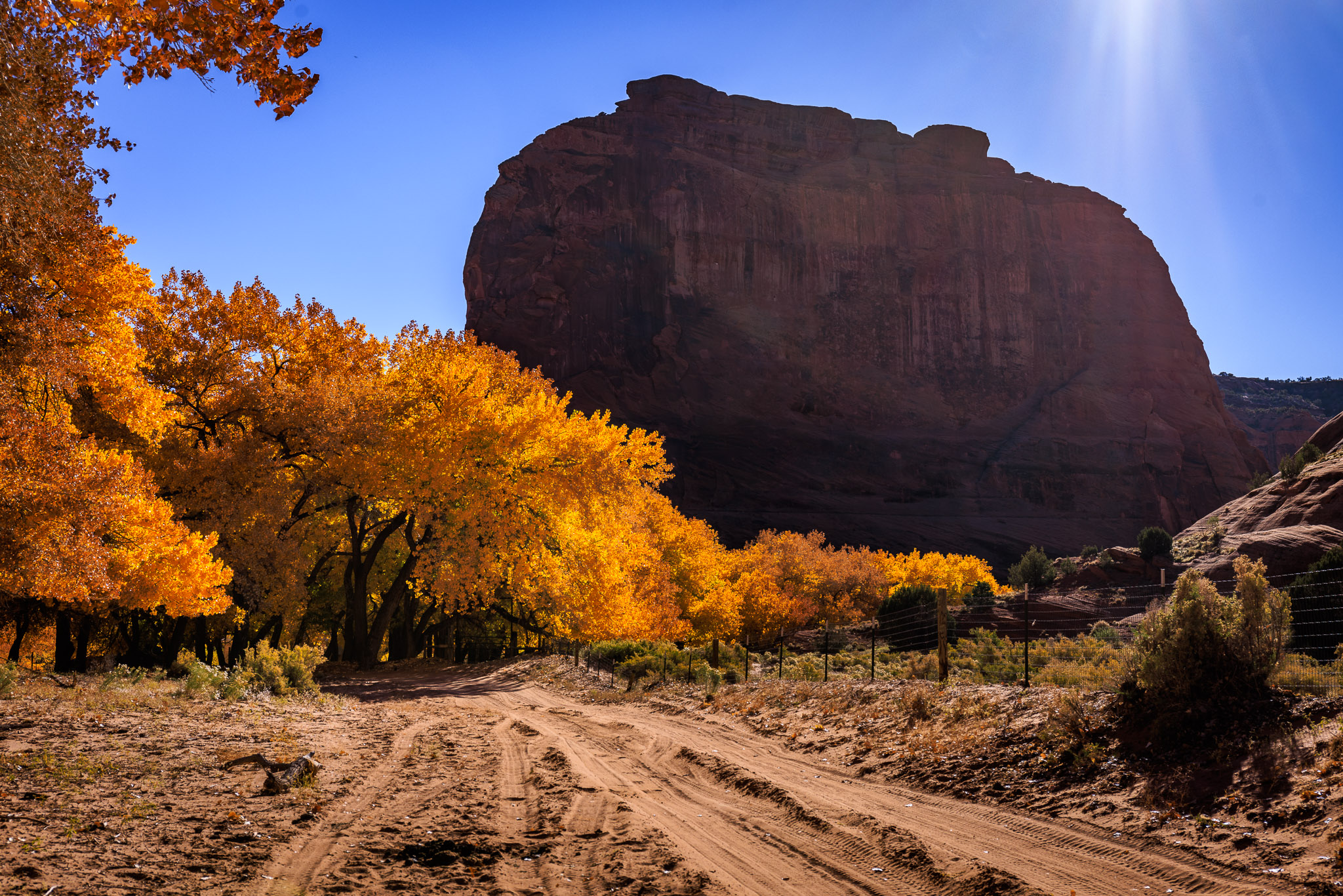 Canyon floor color