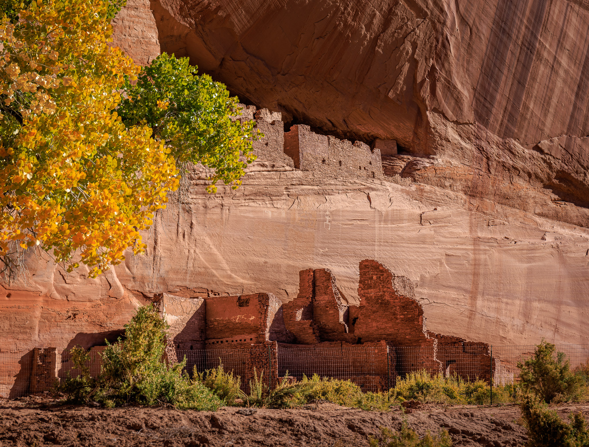 White House Ruins