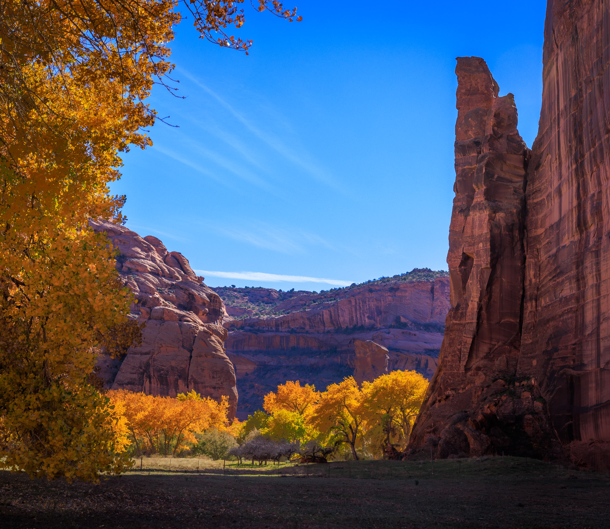 Canyon floor color